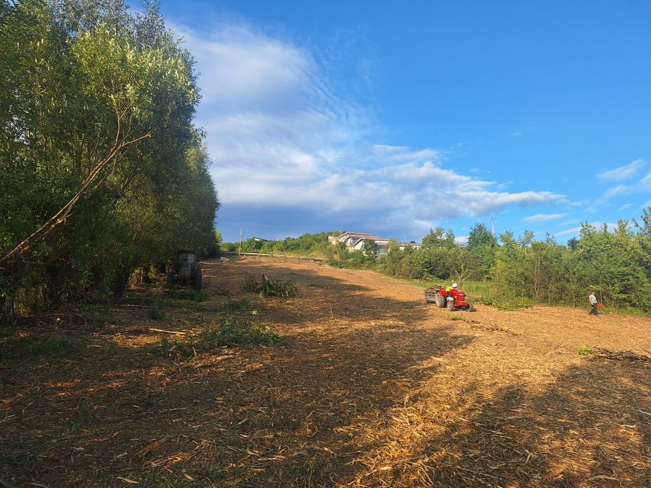 Curatare pasuni și terenuri împădurite