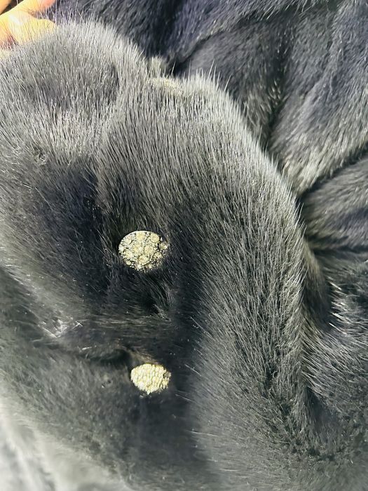 продам норкувую шубу