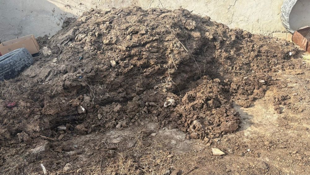 Отдам даром навоз