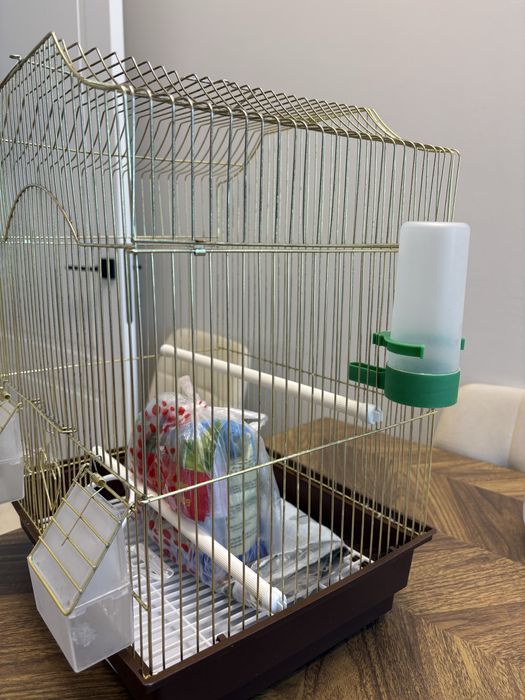 Продам клетку со всем необходимым