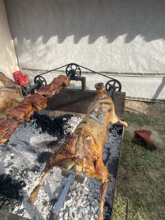 Evenimente private/bar mobil/hostess/gratar