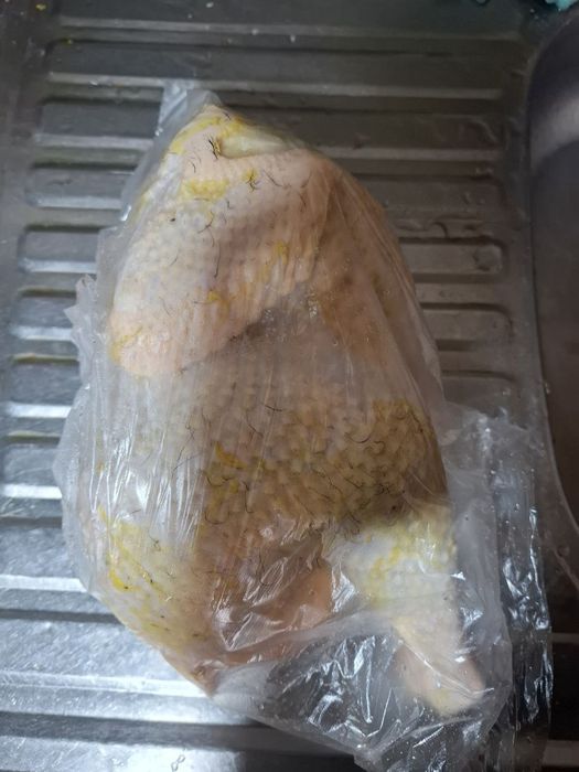 Домашний хуроз товукла заказга тозалаб берамиз