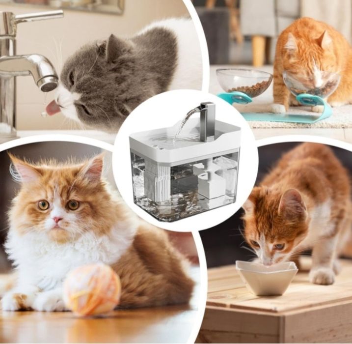 Фонтанчик для кота