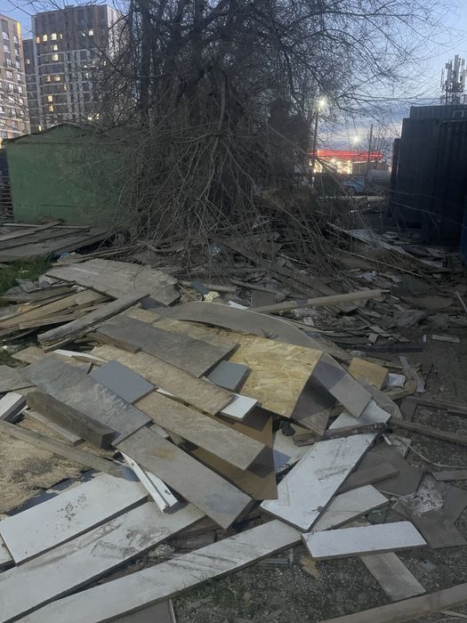 Отын Ағаш Мұсыр тегын