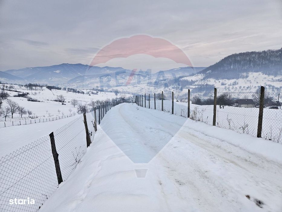 Teren 4,301mp Barsana / Strada Principala