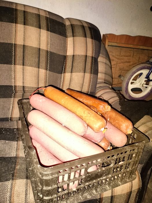 Колбаса итке және мысыққа