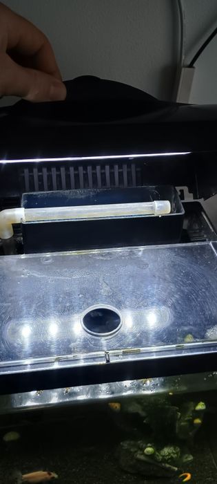 Acvariu cu pesti si accesorii