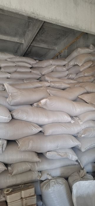 Продам семена Люцерны Экспорцета