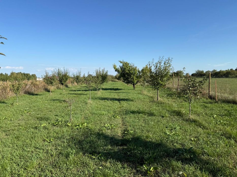 Casa noua + 36 ari teren, com. Paulesti