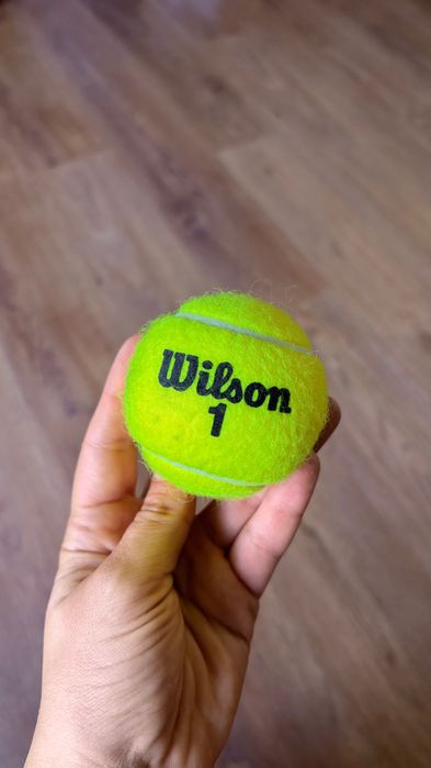Minge tenis Wilson autograf Horia Tecãu