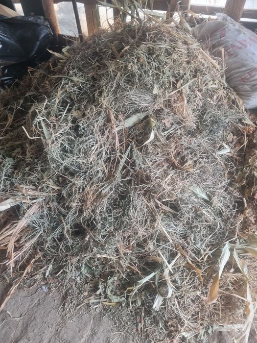 Hashaklar sotiladi bog'langan