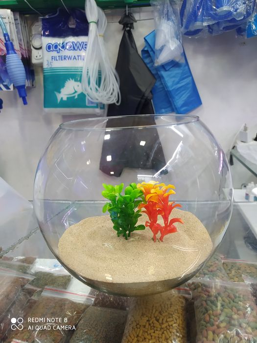 Dumaloq Akvarium New