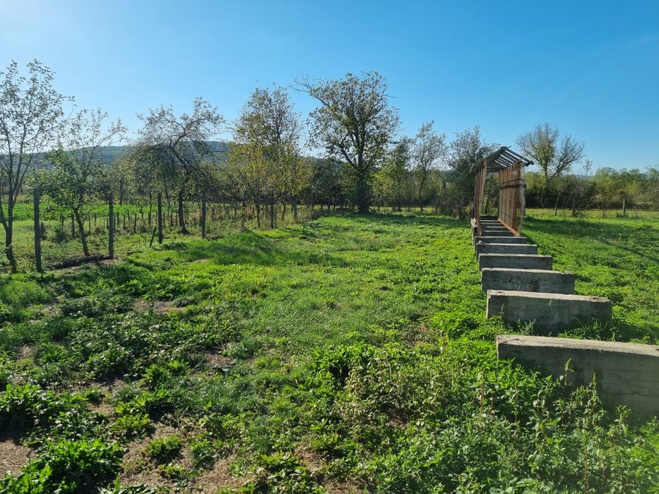 Casă de vânzare în sat Lalașinț