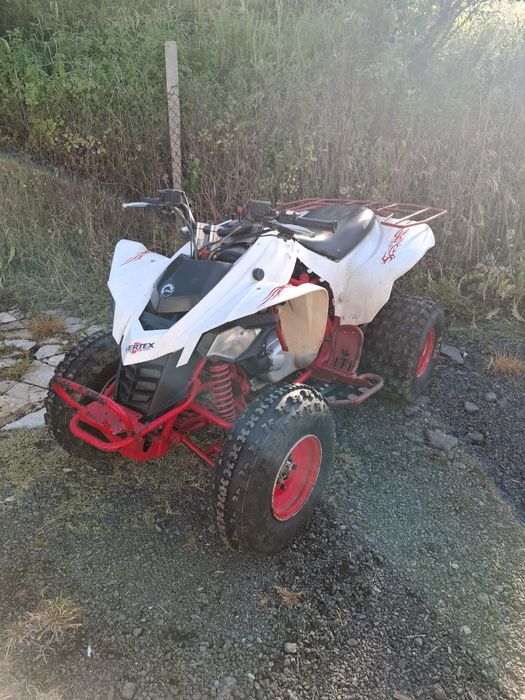 Can-Am DS 250 2009