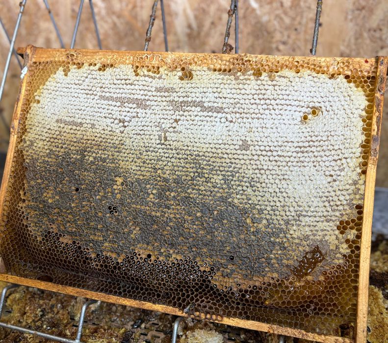 Miere de albine, lumânări direct de la producător! Lumânări evenimete!