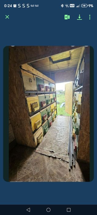 Pavilon apicol cu 80 de lazi