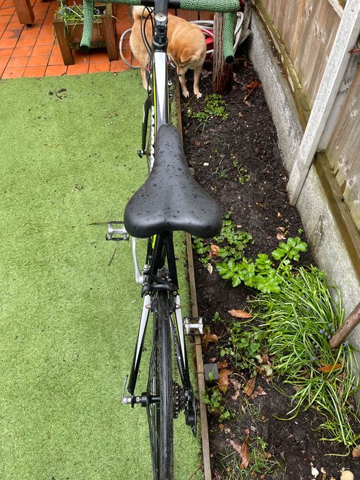 Шосеен бегач barracuda