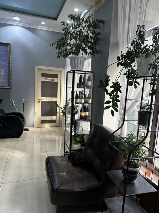 Сдаю в аренду кресло