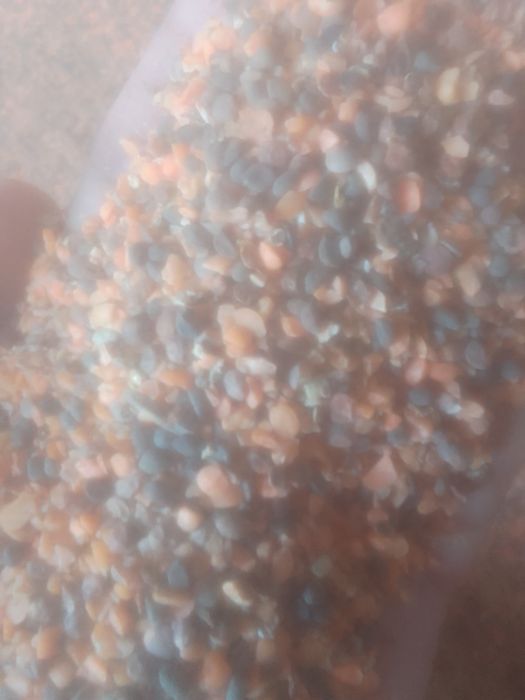 Отходы Полова Отруби зерноотходы