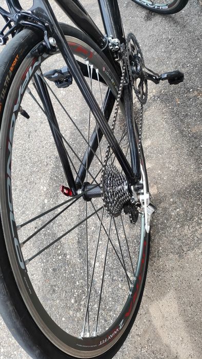 Cursiera CARBON Compagnolo(xt,ultegra)