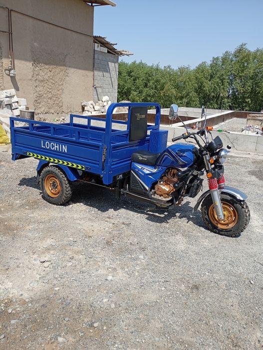 Matasikil bortli