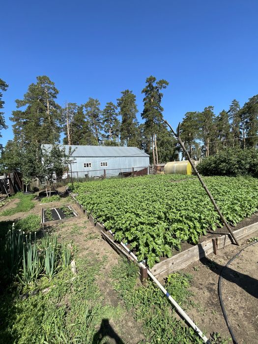 Продам дом с готовым бизнесом