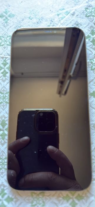 Iphone 12 pro max (piese)