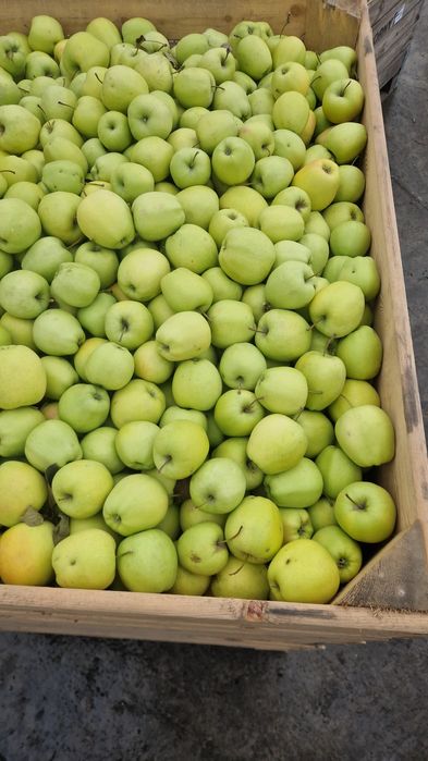 Mere polonia superr calitate