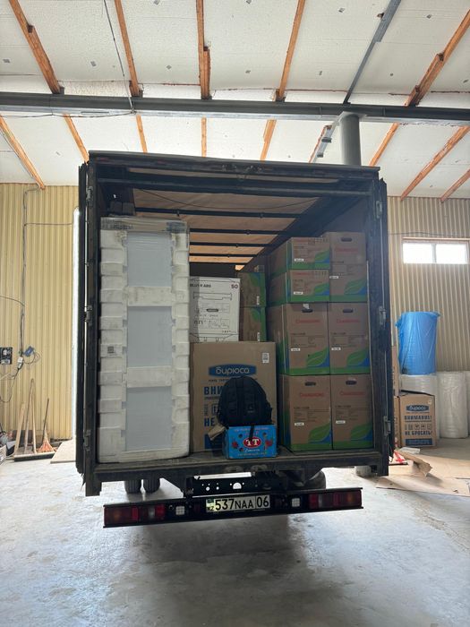 Газель жалданады