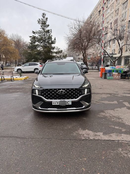 Hyundai Santa Fe Full. Tozza