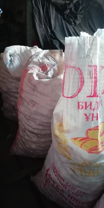 Продам картофель едовой