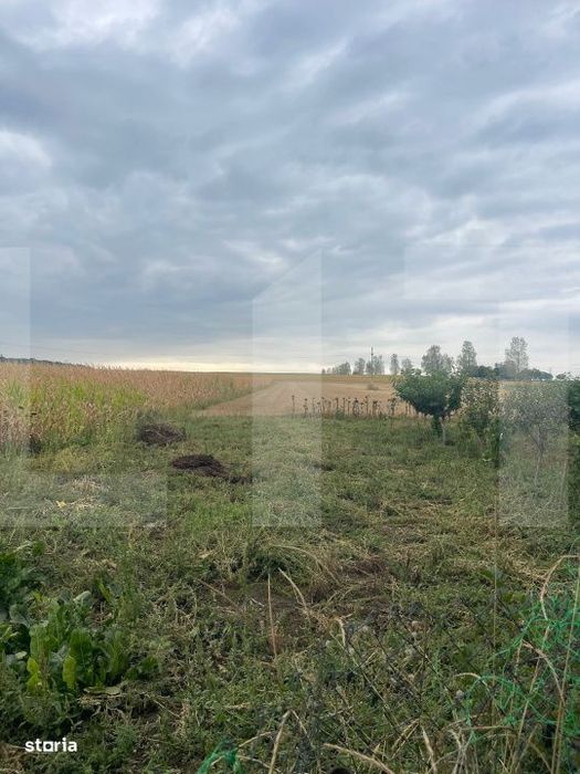Casa de vanzare, teren 5400 mp, zona Braesti