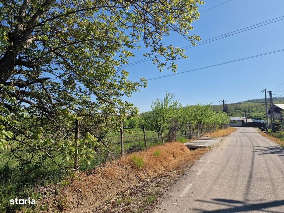 Teren Calinesti, Arges!