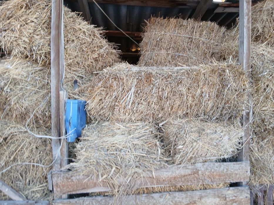 Продам сено разнотравье