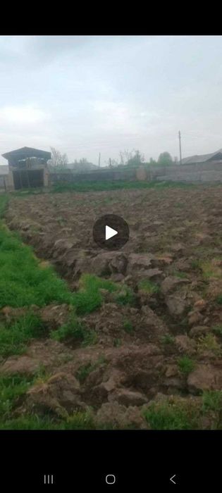 Yer uchastkasi 12 sotix