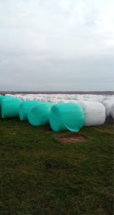 Vand baloti lucerna infoliati