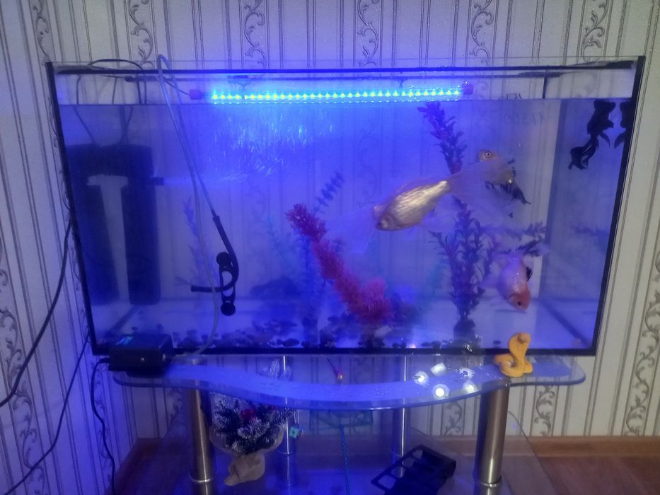 Продам аквариум с рыбками.
