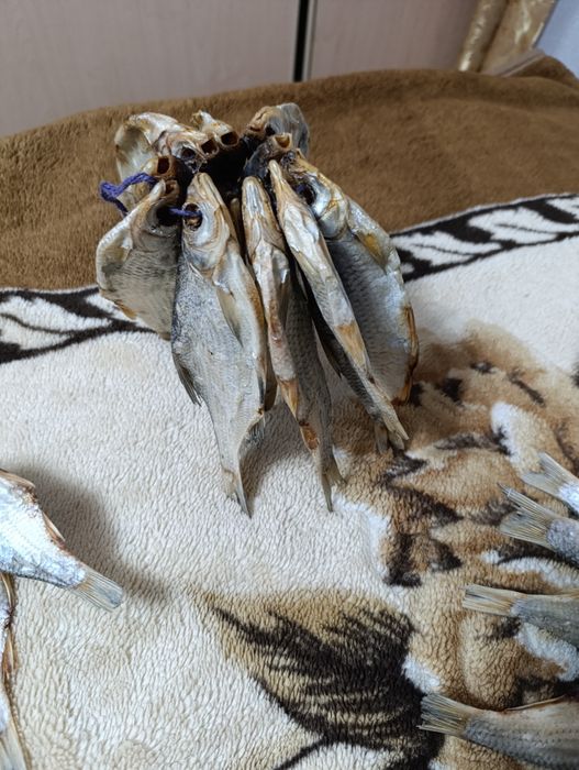 Продам рыбу сушенную