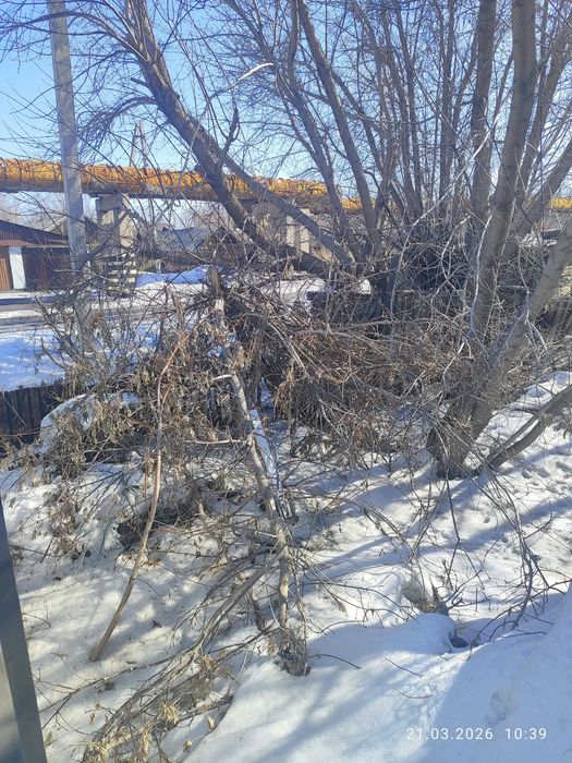 Дрова даром самовывоз