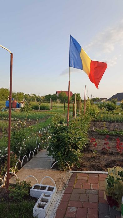 Teren Intravilan 470 mp – Horlești, Comuna Rediu (Proprietar)