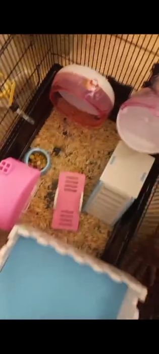 Домик для хомяка