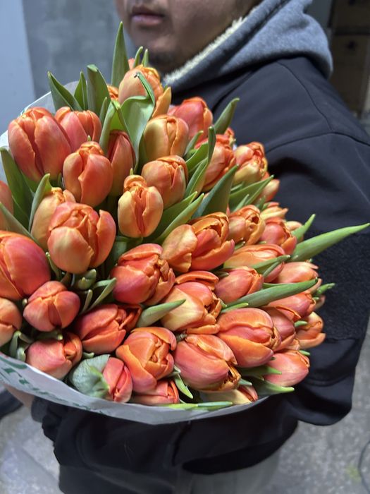 Голландские пионовидные тюльпаны