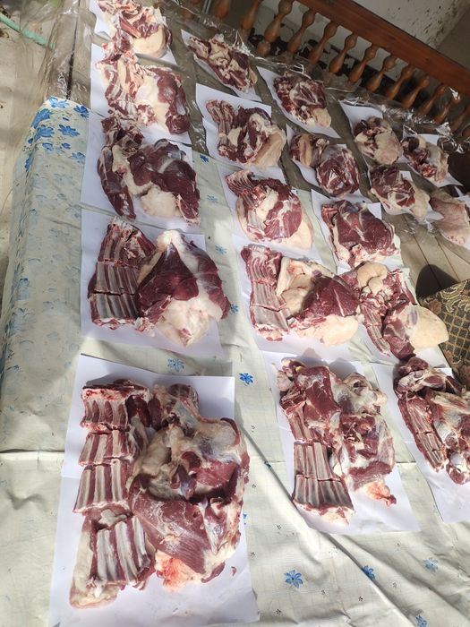 Кассоб Qassob servis xizmati xidsiz sogʻlom sifat qoʻylarimiz xam bor