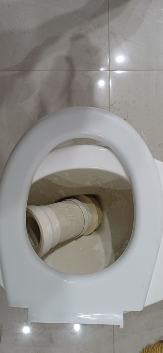 Унитаз трон в сан узел