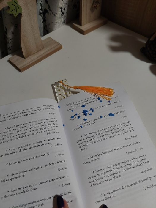 Semn de carte din rășină