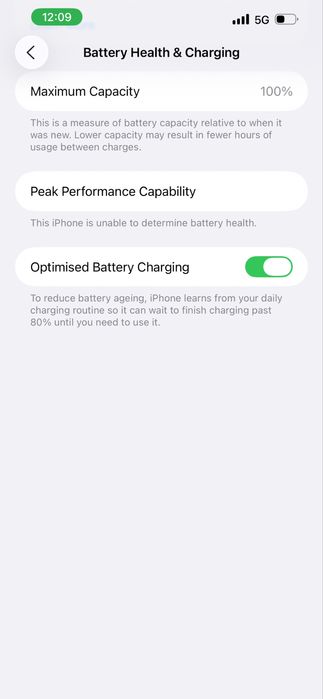 Iphone 13 pro max 100% Battery Health