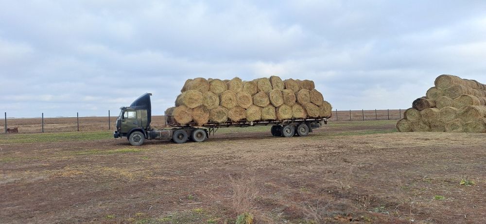 Шоп сатам,коктик