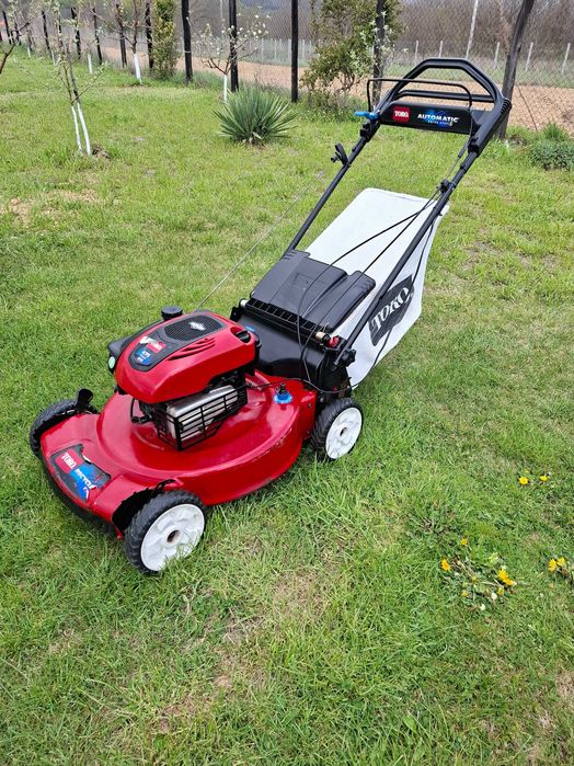 Masina gazon  /  iarba  /  toro