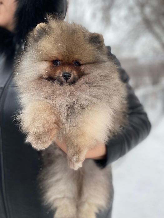 Остался шикарный мальчик