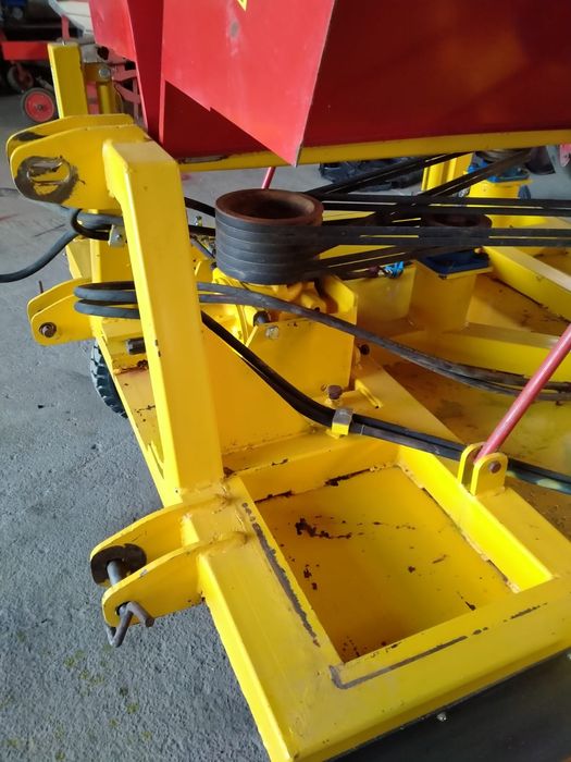 Батварезка луковая